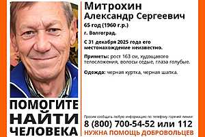 Фото: поисковый отряд "ЛизаАлерт"