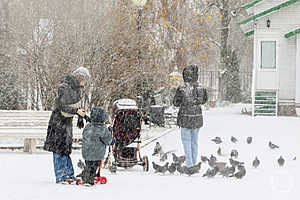 Фото: Дмитрий Рогулин / «Городские вести»