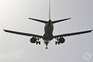 Фото: Дмитрий Рогулин / «Городские вести»