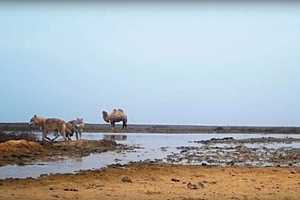 Фото предоставила "Астрахань 24"