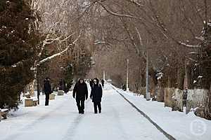 Фото: Дмитрий Рогулин / "Городские вести"