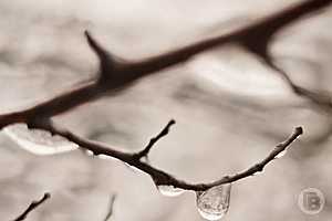 Фото: "Городские вести"