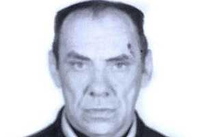 Фото предоставлено поисковым отрядом "ЛизаАлерт"