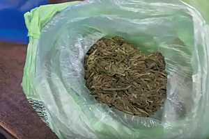 скриншот: ГУ МВД России по Волгоградской области