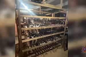 Скриншот: ГУ МВД России по Волгоградской области