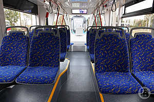 Фото: Дмитрий Рогулин / «Городские вести»