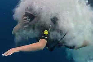 Фото: telegram-канал Ирины Дубцовой