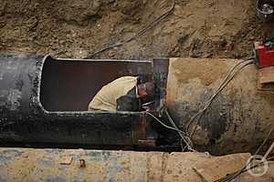 Фото: Данил Савченко / "Городские вести"