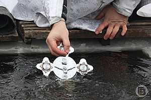 Фото: Дмитрий Рогулин/"Городские вести"