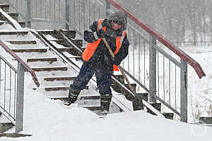 Фото: Павел Мирошкин / "Городские вести"