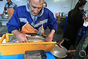 Фото: Дмитрий Рогулин / "Городские вести"