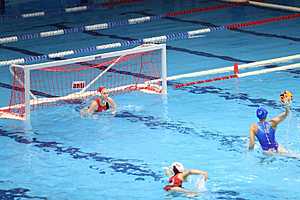 фото: облспорткомитет