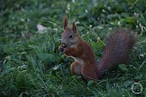 Фото: Дмитрий Рогулин / "Городские вести"