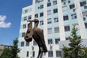 Фото: Елена Силантьева / "Городские вести"