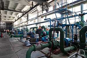 Фото: Данил Савченко / "Городские вести"