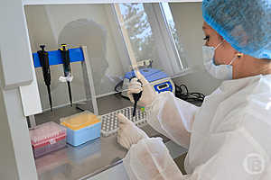 Фото: Дмитрий Рогулин / "Городские вести"