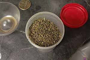 Фото: ГУ МВД России по Волгоградской области