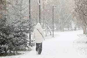 Фото: Дмитрий Рогулин/"Городские вести"