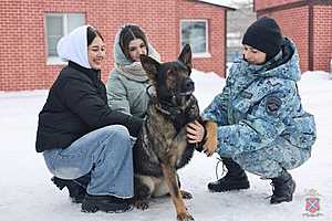 Фото: ГУ МВД по Волгоградской области