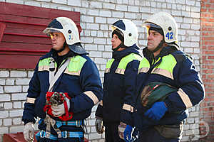 Фото: Дмитрий Рогулин / «Городские вести»