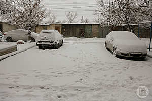 Фото: «Городские вести»