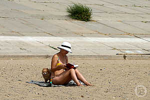 Фото: Дмитрий Рогулин / «Городские вести»