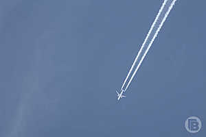 Фото: Дмитрий Рогулин / «Городские вести»