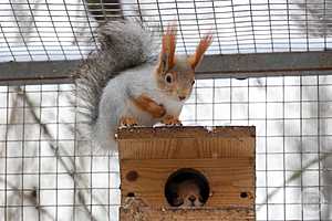Фото: Дмитрий Рогулин/"Городские вести"