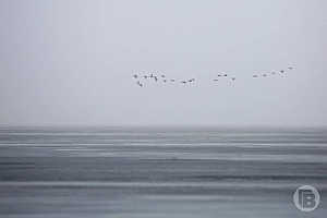 Фото: Дмитрий Рогулин / «Городские вести»
