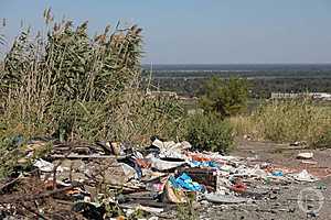 Фото: Дмитрий Рогулин/"Городские вести"