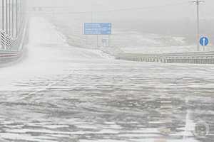 фото: Дмитрий Рогулин / "Городские вести"