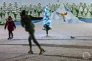 Фото: Дмитрий Рогулин / «Городские вести»