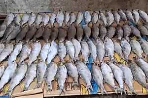 Скриншот: ГУ МВД России по Волгоградской области