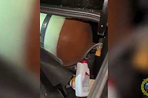 Скриншот: ГУ МВД России по Волгоградской области