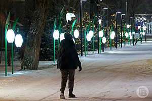Фото: Дмитрий Рогулин / "Городские вести"
