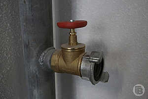 Фото: Дмитрий Рогулин / «Городские вести»