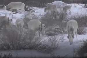 Фото: "Астрахань 24"