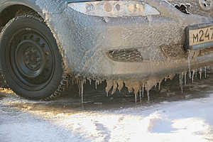 Фото: Дмитрий Рогулин / «Городские вести»