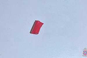 фото: ГУ МВД России по Волгоградской области