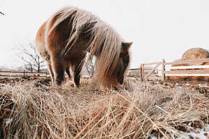 Фото: Данил Савченко / "Городские вести"