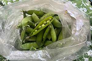 Фото: "Городские вести"