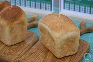 Фото: Дмитрий Рогулин/"Городские вести"