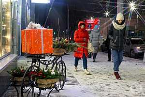 Фото: Дмитрий Рогулин/"Городские вести"