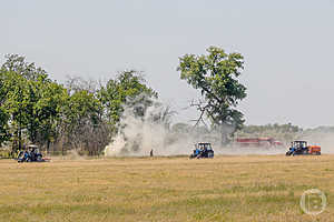 Фото: Дмитрий Рогулин / "Городские вести"