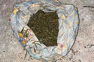 фото: ГУ МВД России по Волгоградской области