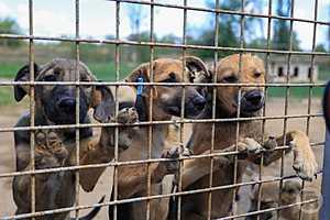 Фото: Данил Савченко / "Городские вести"