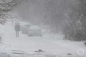 фото: Дмитрий Рогулин / "Городские вести"