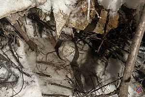 Фото: ГУ МВД по Волгоградской области