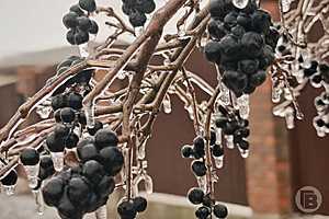 Фото: "Городские вести"