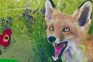 Фото предоставлено Волгоградским областным краеведческим музеем